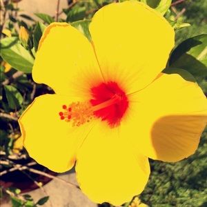 Meet your Posher, Alidenia